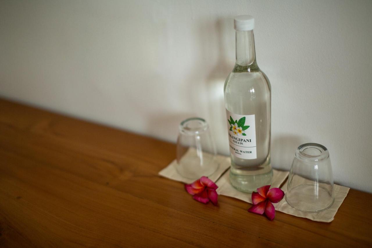 Frangipani House And Spa By Ecommerceloka Canggu Dış mekan fotoğraf